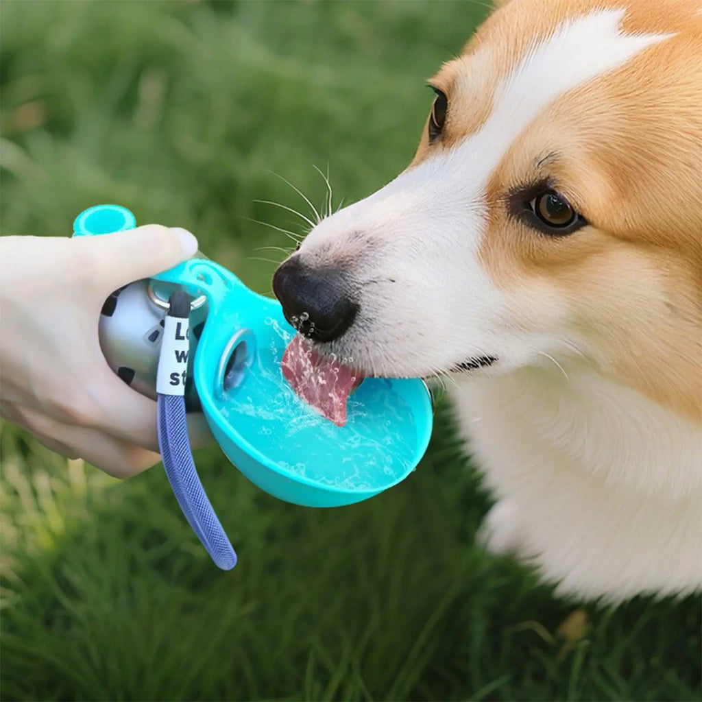 Compact Dog Travel Water Bottle